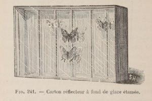 3-boite-avec-reflecteur.-source_-h.-coupin-1895-l-amateur-de-papillons-2