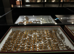 Muséum d’Orléans MOBE
